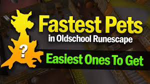 For runescape on the online/browser, a gamefaqs message board topic titled completionist checklist (osrs). Easiest Pets To Get In Osrs Fastest Drop Rate Youtube