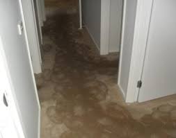 dry wet carpet floorboards repairs