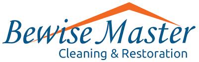 carpet cleaning bewise master