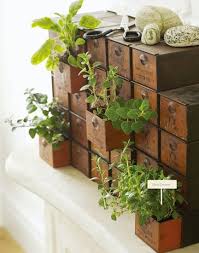 Diy Indoor Herb Garden Ideas