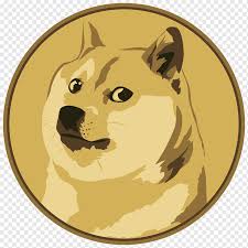 Explore and download free hd png images, and transparent images Doge Png Images Pngwing