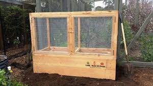 raised garden bed with a durable cage
