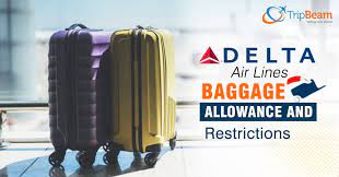 delta air lines bage policy
