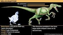 what-is-the-size-of-a-velociraptor