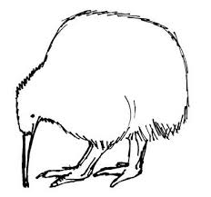 how to draw a kiwi bird tutorial