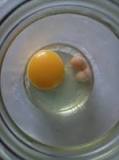 Pourquoi un œuf n'a pas de jaune ?