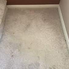 dial carpet cleaning updated march