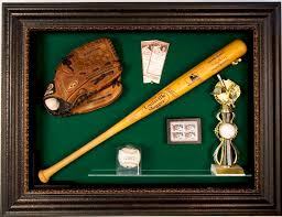 Baseball League Bat Glove Display Case