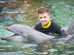Image result for swim with dolphins splash