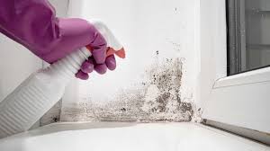 removing mould from walls how to clean