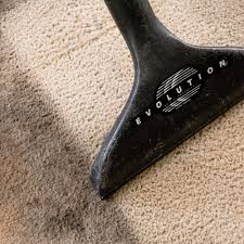 area rug cleaning in lynnwood wa