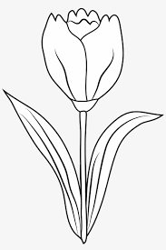 clipart tulip flower black and white