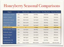 Honeyberry Home Gardeners Love Honeyberry