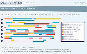 The Blundering Dna Genealogist For Dna Painter Enthusiasts