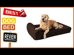 Best Chew Proof Dog Bed In