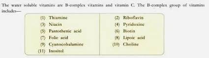 Types Of Vitamins Water Soluble And Fat Soluble Vitamins