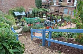 Gardens St Sidwell S Community Centre