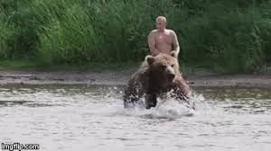 Russian president vladimir putin has defended the shirtless pictures of him on vacation that have taken the internet by storm in recent years, telling an austrian journalist he has no need to hide. Putin Bear Gifs Tenor