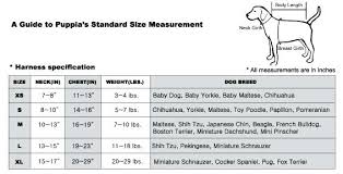 Poodle Size Weight Chart Poodle Growth Standard Poodle Puppy