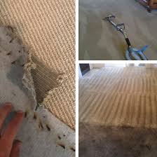 maryland ucm carpet cleaning of dc