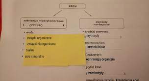 Uzupełnij schemat biologia - Brainly.pl