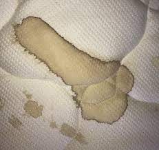This mysterious stain on my boyfriend's mattress pad. : rmildlypenis