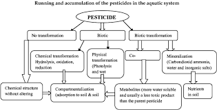 Flow Chart Of The Pesticides Through The Different Routes In