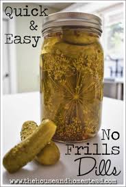 vinegar dill pickles recipe canning