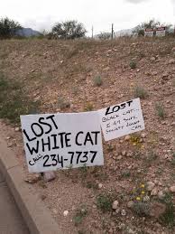 Scottysthoughties published december 19, 2020 7 views. 22 Hilarious And Disturbing Missing Cat Posters