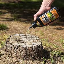 Cut the tree to ground level if your stump is several inches above the ground, it is best to use a chainsaw, ax, hatchet, or other tools to remove the top portion of the stump as close to the ground as possible before engaging the stump grinder. Stump Removal Do It Yourself Hgtv