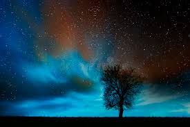 Τοπίο νύχτας με τα δέντρα και την έναστρη νύχτα Στοκ Εικόνες - εικόνα από :  79908486