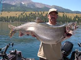 Best Lake Trout Mackinaw Fishing Oregon Best Fishing