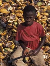 Die meisten staaten haben heute gesetze gegen kinderarbeit: Erfahren Sie Mehr Uber Kinderarbeit Im Kakaosektor Oroverde