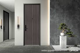 Custom Internal Wooden Doors For