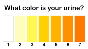 urine color meaning pediatric