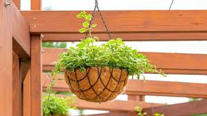 20 hanging vegetable garden ideas for