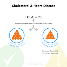 High Cholesterol On A Keto Diet Should You Be Concerned