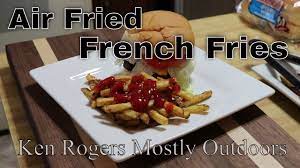 fresh cut air fryer french fries