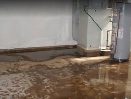 Prevent Mold After Your Basement Floods