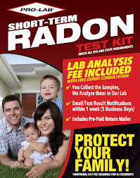 radon gas test kit short term pro