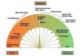 Ph Levels And Hair The Key To Perfect Tresses Color