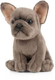french bulldog puppy by living nature