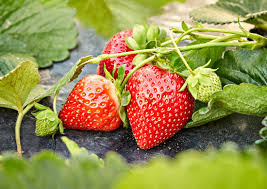 Image result for strawberry