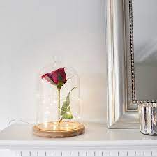Diy Enchanted Rose Bell Jar Rose In A