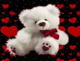 hd red cute teddy bear wallpapers peakpx