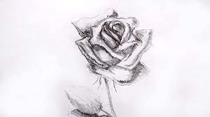 Un peisaj cu trandafiri in creion. Desene In Creion Trandafir In Creion Cristina Picteaza