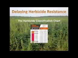 Reading The Herbicide Classification Chart