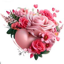 valentine concept rose pink flower with