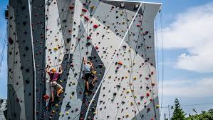 Maggie Daley Climbing Wall Journal Hotels