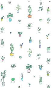 aesthetic cacti plant pot vsco hd